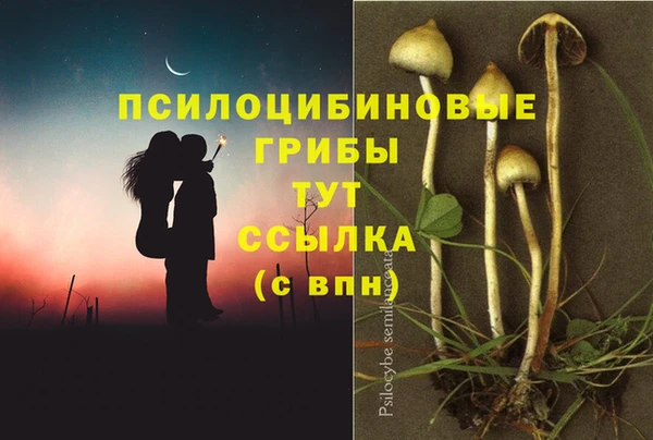 ешки Абдулино
