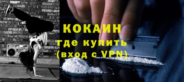 шишки Абинск